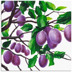 Artland Wandbild Violette Pflaumen, Bäume (1 St), als Alubild, Leinwandbild, Wandaufkleber oder Poster in versch. Größen
