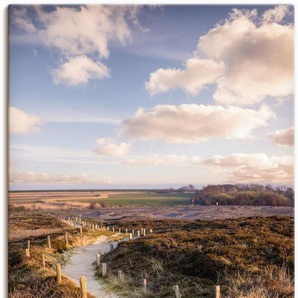 Artland Wandbild Weg durch Naturschutzgebiet Morsum-Kliff, Felder (1 St), als Leinwandbild, Poster in verschied. Größen