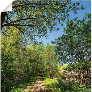 Artland Wandbild Weg und Bäume bei Kuchelmiß, Waldbilder (1 St), als Alubild, Leinwandbild, Wandaufkleber oder Poster in versch. Größen