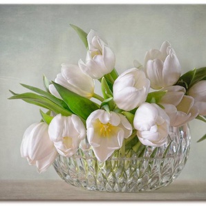 Artland Wandbild Weiße Tulpen, Blumen (1 St), als Leinwandbild, Poster, Wandaufkleber in verschied. Größen