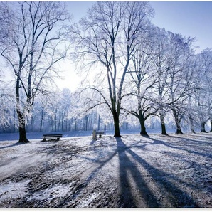 Artland Alu-Dibond-Druck Wintertraum. Licht & Schatten im Winter, Wiesen & Baumbilder (1 St), für Innen- und Außenbereich geeignet, Outdoorbild