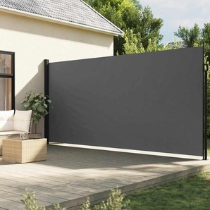 Ausziehbare Seitenmarkise Anthrazit 220x300 cm