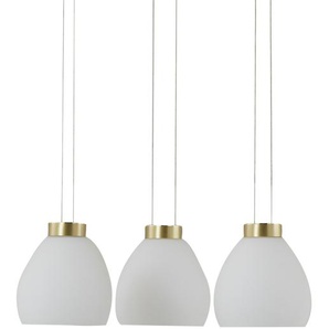 HELL-höllisch gutes Licht LED-Pendelleuchte, 3-flammig, Rondell, messing ¦ gold ¦ Maße (cm): H: 150  Ø: 43