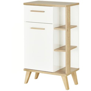 calmo2go Bad-Unterschrank  North ¦ mehrfarbig ¦ Maße (cm): B: 50,5 H: 89,5 T: 33.0