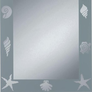 Badspiegel JOKEY Nemo Spiegel silberfarben Badspiegel 50x70cm