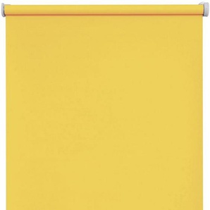 Batterierollo Premium Style Batterierollo Uni, sunlines, Lichtschutz, mit Bohren, verschraubt, im Fixmaß