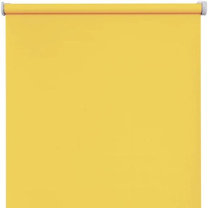 Batterierollo SUNLINES Premium Style Uni Rollos Gr. 170 cm, 115 cm, gelb Rollos im Fixmaß