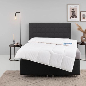 Baumwollbettdecke FAN Kansas, Bettdecken für Sommer und Winter, Decke, weiß, B:155cm L:220cm, Bezug: 100% Baumwolle. Füllung: 100% Baumwolle, Bettdecken, Bettdecke 135x200 cm, 155x220 cm und weiteren Größen, Made in Germany