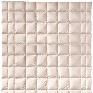 Baumwollbettdecke, ZIRBERELLA® Cn, billerbeck, Füllung: 100% Baumwolle mit Zirbenflocken, Bezug: Bio-Baumwolle