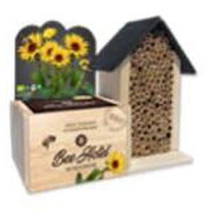 Baza Seeds Bienenhotel mit Bio Lathyrus GLO693100482