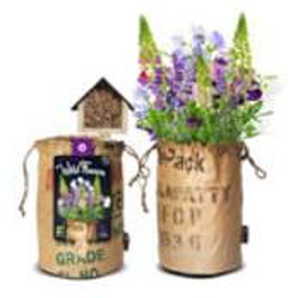 Baza Seeds Bienenhotel mit Bio Wildblumen violett GLO693100474
