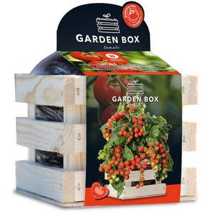 Baza Seeds Garden Box Strauchtomate Heartbreakers Vita F1 GLO693109211
