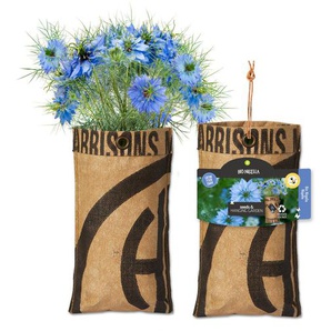 Baza Seeds hängender Garten Bio Nigelle/Schwarzkümmel GLO693109793