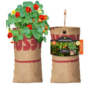 Baza Seeds hängender Garten Bio Tropaeolum/Kapuzienerkresse GLO693109796