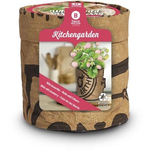 Baza Seeds Kitchengarden Walderdbeere weiß GLO693109064