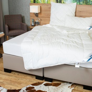 Beco Microfaserbettdecke BeCo Medibett MF50 Made in Green 135x200 cm und weitere Größen, Füllung: Klimafaser, Bezug: Microfaser-Feinbatist, Made in EU, allergiker geeignet (Hausstauballergiker)