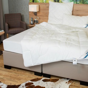 Beco Microfaserbettdecke BeCo Medibett MF50 Made in Green 135x200 cm und weitere Größen, Füllung: Klimafaser, Bezug: Microfaser-Feinbatist, Made in EU, allergiker geeignet (Hausstauballergiker)