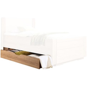 Bettschubkasten 100 x 200cm Braun 1 Bettkasten