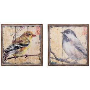 Bild HOFMANN LIVING AND MORE Vogel Bilder Gr. B/H/T: 56 cm x 56 cm x 6 cm, quadratisch, braun Kunstdrucke