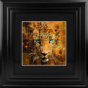Bild Leopard, Gold, Bronze, Kunststoff, Glas, Papier, Karton, quadratisch, 75x75x3.5 cm, gerahmt, Bilder, Gerahmte Bilder