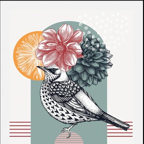 Bild QUEENCE Birdy Bilder Gr. B/H: 50 cm x 70 cm, Wandbild Vögel Hochformat, 1 St., rosa Kunstdrucke