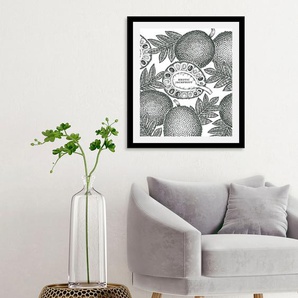 Bild QUEENCE Exotic Jackfruit Bilder Gr. B/H: 50 cm x 70 cm, Wandbild Hochformat, 1 St., schwarz Kunstdrucke