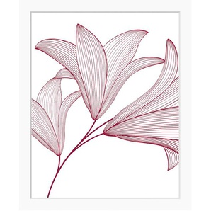 Bild QUEENCE Imsa Bilder Gr. B/H: 30 cm x 40 cm, Wandbild Blumen Hochformat, rosa (weiß) Kunstdrucke gerahmt, Blumen