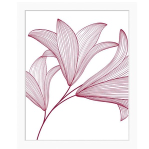 Bild QUEENCE Imsa Bilder Gr. B/H: 40 cm x 50 cm, Wandbild Blumen Hochformat, rosa (weiß) Kunstdrucke gerahmt, Blumen