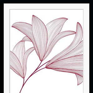 Bild QUEENCE Imsa Bilder Gr. B/H: 40 cm x 50 cm, Wandbild Blumen Hochformat, rosa (schwarz) Kunstdrucke gerahmt, Blumen