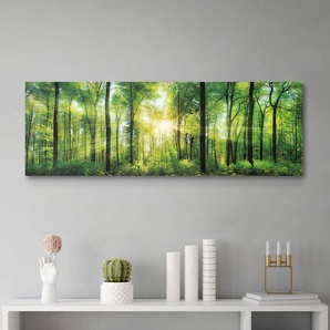 Bild Sommerwald Papier auf MDF Grün 118 x 40cm