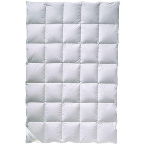 Billerbeck Daunendecke Polarstern, Weiß, Textil, Füllung: Federn, Daunen, 155x220 cm, für Hausstauballergiker geeignet, weich und anschmiegsam, Schlaftextilien, Bettdecken, Daunendecken