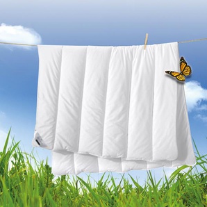 billerbeck Microfaserbettdecke Liliane, Bettdecke 135x200 cm, 155x220 cm, Sommer, Winter, Füllung: 100% Polyester, AIRFILL-Faser, Bezug: 100% Baumwolle, Die kuschelige Faserdecke für den Winter