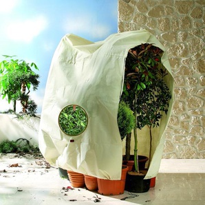Bio Green Pflanzensack Window Jumbo 200 x 240 cm, natur GLO692504500