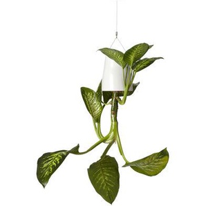 Blumenkasten Sky plastikmaterial weiß aus recyceltem Polypropylen - Large (H 18,7 cm) - zum Aufhängen - Boskke - Weiß