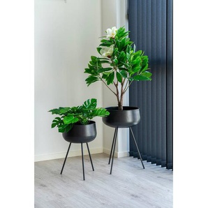 Blumentopf Ardola 2-tlg. Schwarz