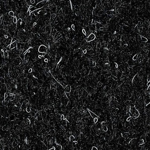 BODENMEISTER Teppichboden Nadelfilz Bodenbelag Merlin Teppiche Gr. B/L: 200 cm x 350 cm, 5,2 mm, 1 St., schwarz (anthrazit schwarz) Teppichboden