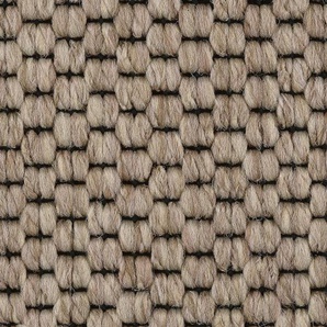 BODENMEISTER Teppichboden Schlingenteppich Turania Teppiche Gr. B/L: 500 cm x 550 cm, 5,3 mm, 1 St., beige Teppichboden