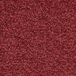 BODENMEISTER Teppichboden Veloursteppich Juno Teppiche Gr. B/L: 500 cm x 200 cm, 8,5 mm, 1 St., rot Teppichboden