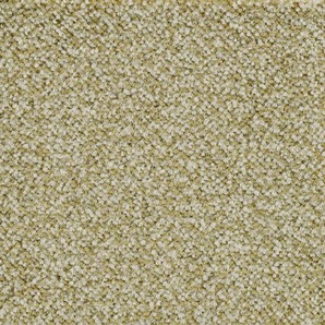 BODENMEISTER Teppichboden Veloursteppich Juno Teppiche Gr. B/L: 500 cm x 250 cm, 8,5 mm, 1 St., grün (hell, grün) Teppichboden