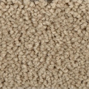 BODENMEISTER Teppichboden Veloursteppich Pegasus Teppiche Gr. B/L: 300 cm x 500 cm, 10 mm, 1 St., beige Teppichboden