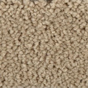BODENMEISTER Teppichboden Veloursteppich Pegasus Teppiche Gr. B/L: 500 cm x 400 cm, 10 mm, 1 St., beige Teppichboden