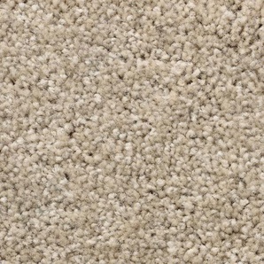 BODENMEISTER Teppichboden Veloursteppich Pegasus Teppiche Gr. B/L: 550 cm x 500 cm, 10 mm, 1 St., beige (beige grau) Teppichboden