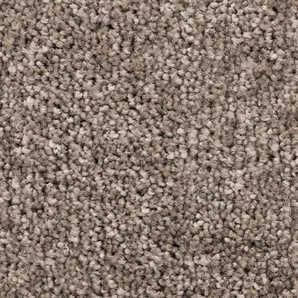 BODENMEISTER Teppichboden Veloursteppich Pegasus Teppiche Gr. B/L: 750 cm x 500 cm, 10 mm, 1 St., grau (grau beige) Teppichboden