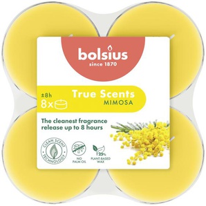 Bolsius Duft-Teelichte Maxi 8 Stunden 8er Pack True Scents Mimose GLO660201228