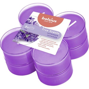 Bolsius Duftteelichter Maxi Lavendel, Höhe 1,17 cm, Ø 4,5 cm, 6er Pack GLO660209060