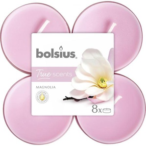 Bolsius Duftteelichter Maxi Magnolie, Höhe 1,17 cm, Ø 4,5 cm, 6er Pack GLO660209075