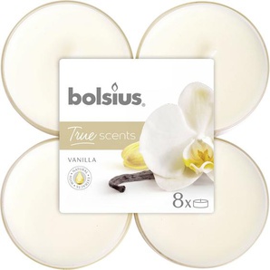 Bolsius Duftteelichter Maxi Vanille, Höhe 1,17 cm, Ø 4,5 cm, 6er Pack GLO660209074