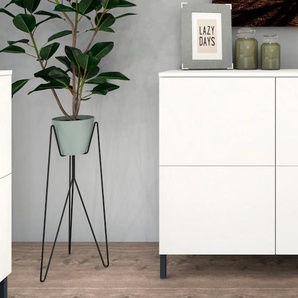 borchardt Möbel Kommode »Haama«, Breite 93 cm