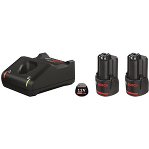 Bosch Professional Blue bosch 12v battery pack 2x20ah wcharger