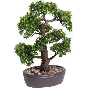 Kunstbonsai BOTANIC-HAUS Ficus Bonsai Kunstpflanzen Gr. Ø/H: 35 cm x 45 cm, 1 St., grün Kunst-Bonsai